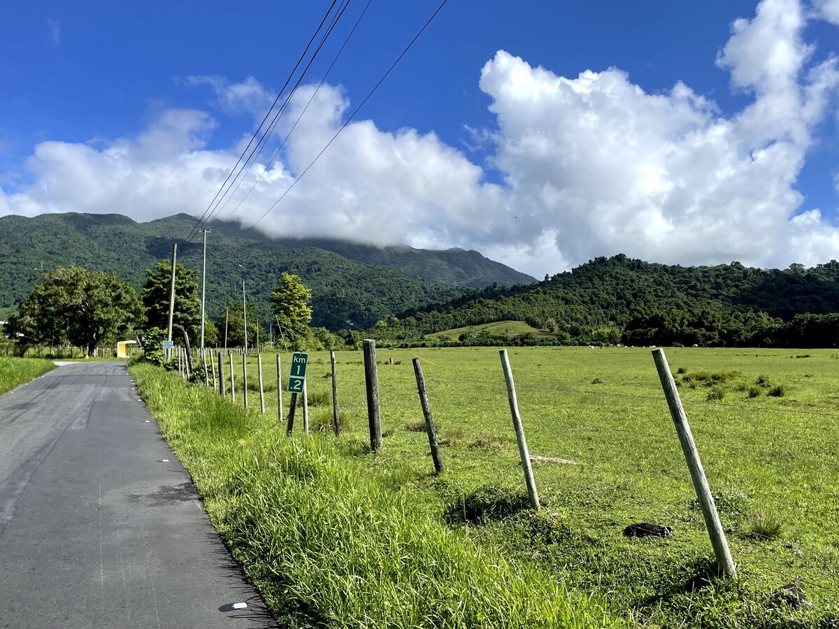 宽敞的CASA ，适合7 *游泳池*乡村*允许携带宠物入