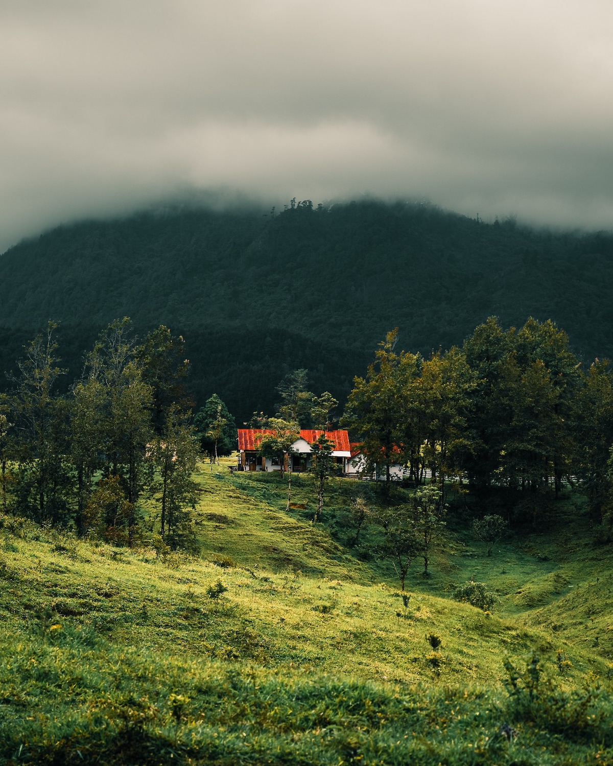 Hacienda Nueva Escocia Huehuetenango Habitación 4