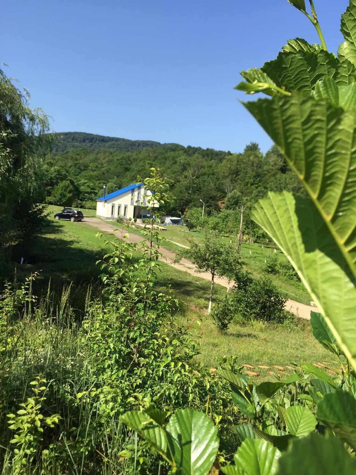 库塔伊西（ Kutaisi ）附近带泳池的欢乐4卧室乡村小屋