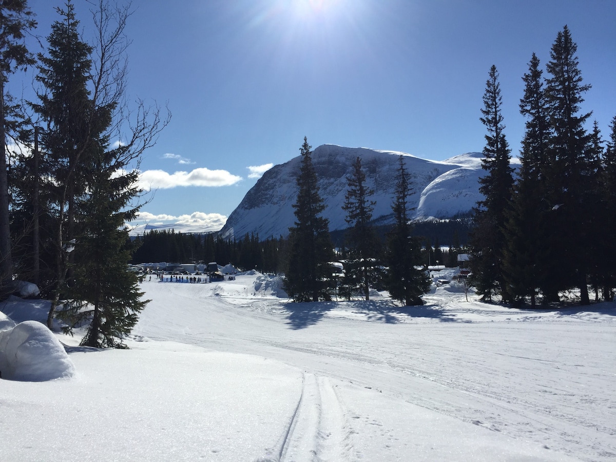 Mysig stuga i Borgafjäll med panorama mot Fjället