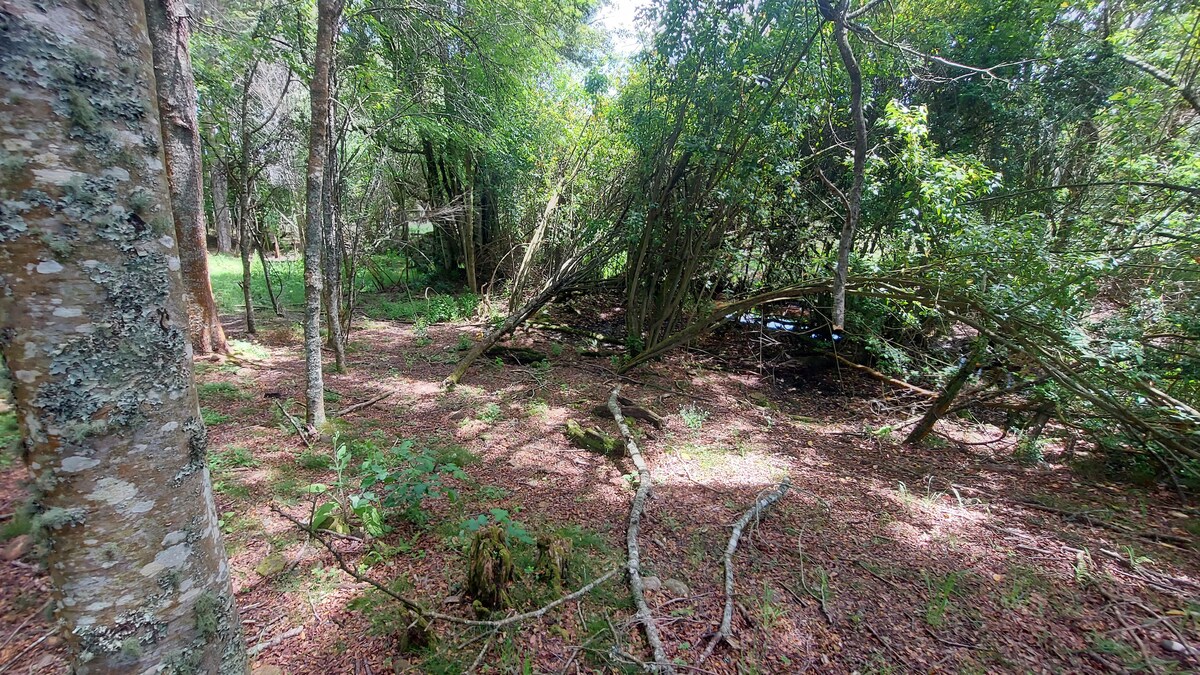 Cabins Puente Viejo, Reg. de Los Rios, Los Lagos