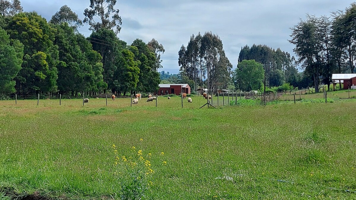 Cabins Puente Viejo, Reg. de Los Rios, Los Lagos