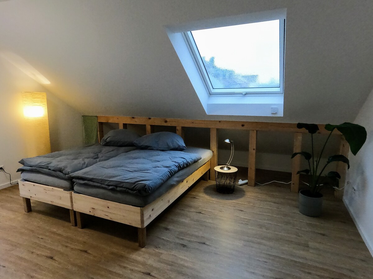 Hochdorf新建双卧室公寓