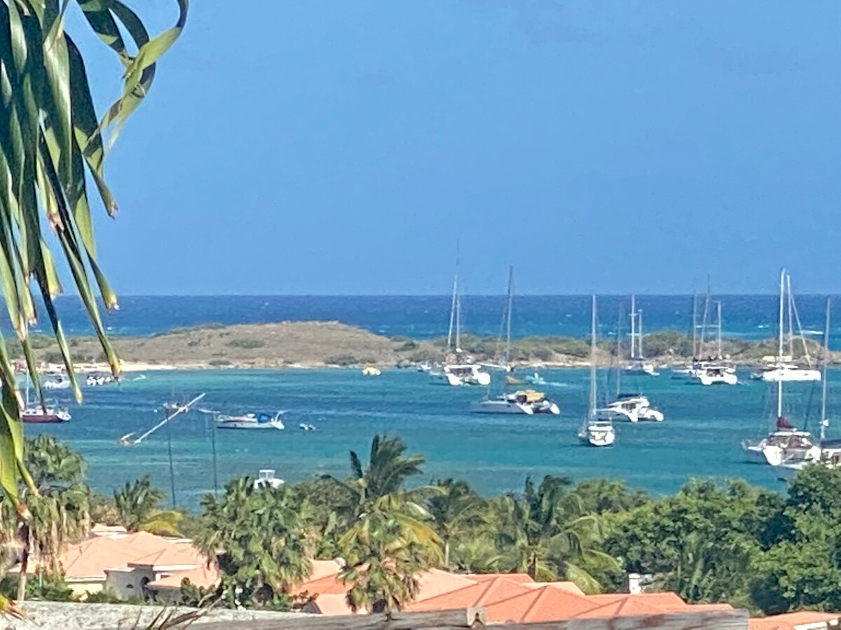 Villa de standing, piscine et vue mer panoramique