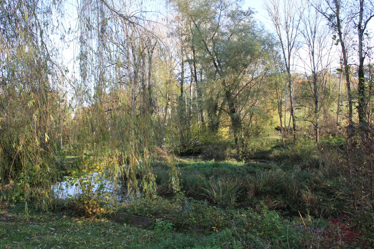 Moulin de Vézelay - "Chambre Cottage Nature"