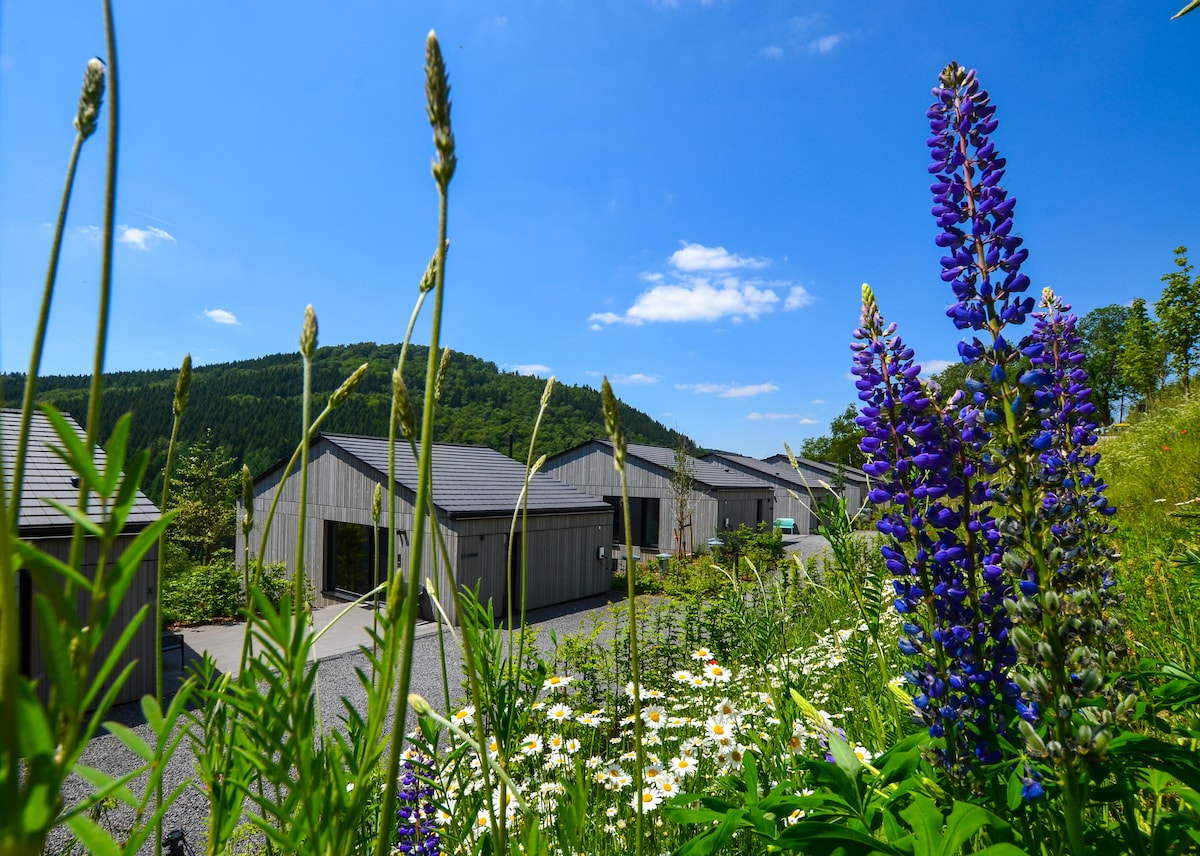 Sauerland Lodge - Haus X & Haus Juliana