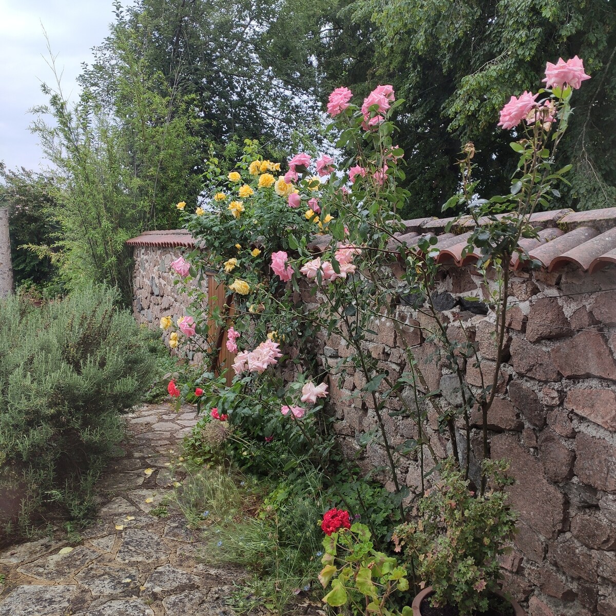 Maison chaleureuse et tranquille "chambre 1"