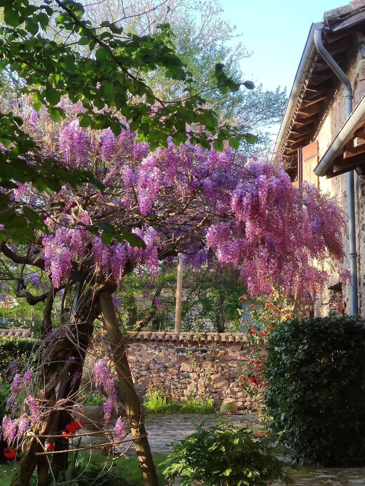 Maison chaleureuse et tranquille "chambre 1"