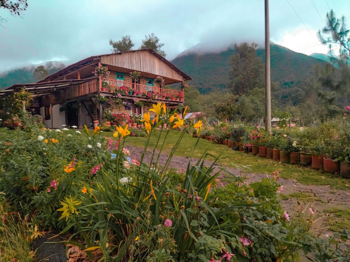 el jardín de villa