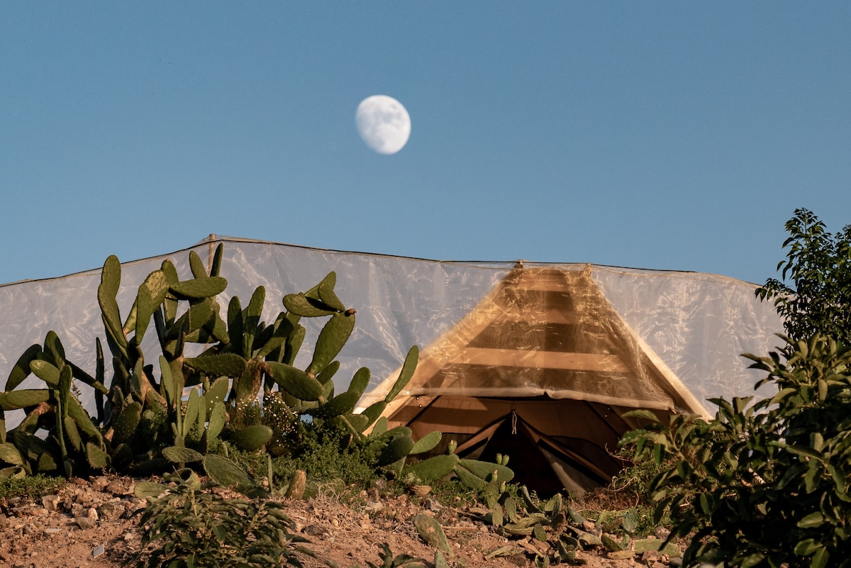 Finca Gaia la Segunda Glamping Tenerife (15)