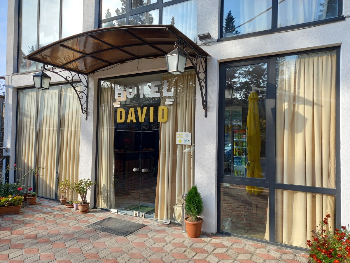 Hotel David双床房