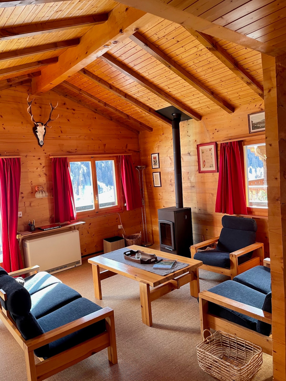 瑞士美丽山谷中的舒适度假木屋