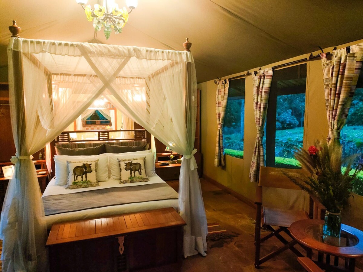 Ngong丘陵的舒适单卧室帐篷