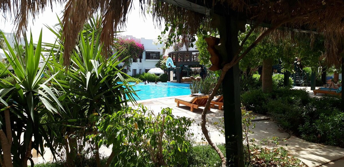 位于三角洲沙姆度假村的153米公寓，可欣赏泳池景观