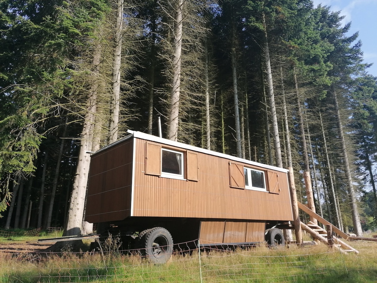 Tiny House "DER WALDWAGEN"