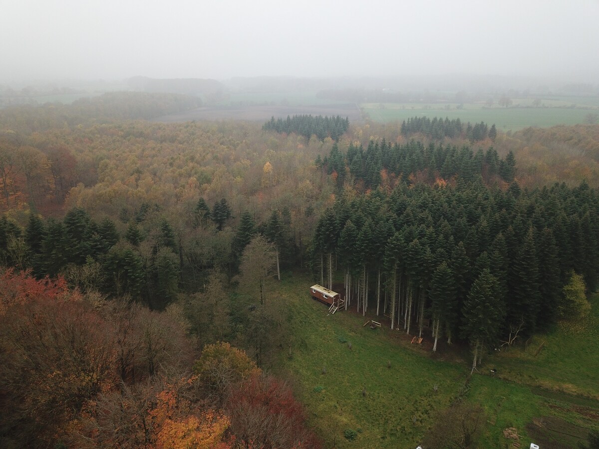 Tiny House "DER WALDWAGEN"