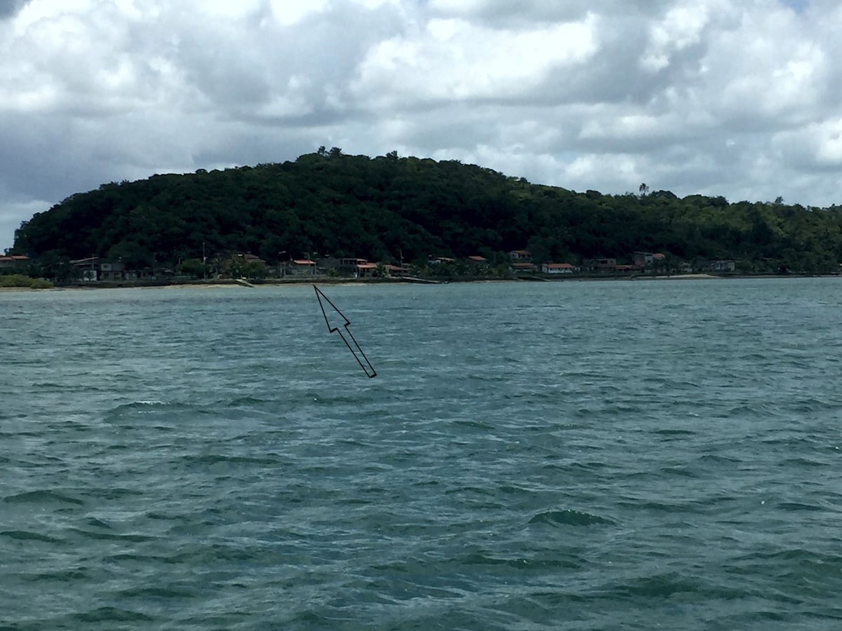 Ilha de Maria Guarda
Um paraíso te aguarda