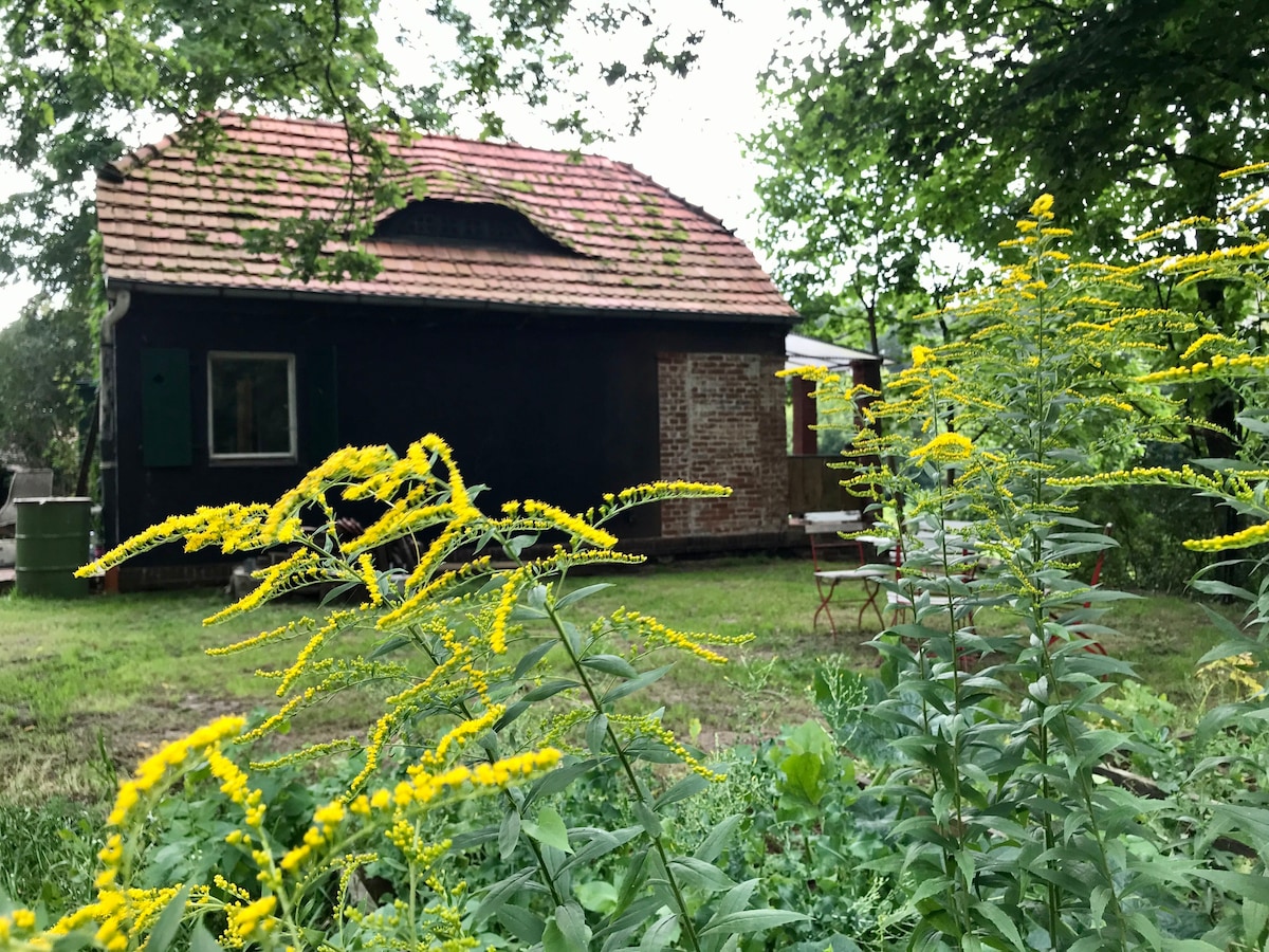 Berlin Wannsee Sommerhaus