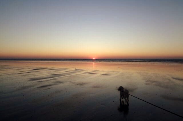 Le Sunset. Anneville sur mer