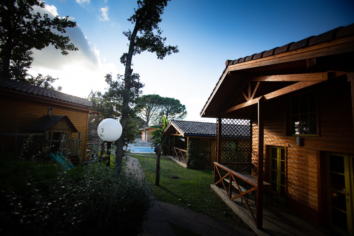 Les gîtes des Palombes - Chalet 4 p. avec piscine