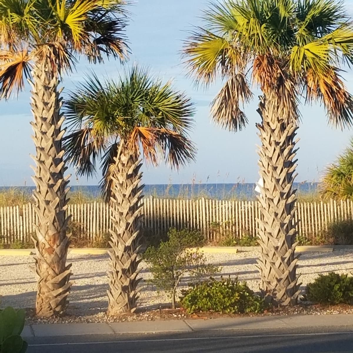 佛罗里达州安娜玛丽亚岛布雷登顿海滩日落2