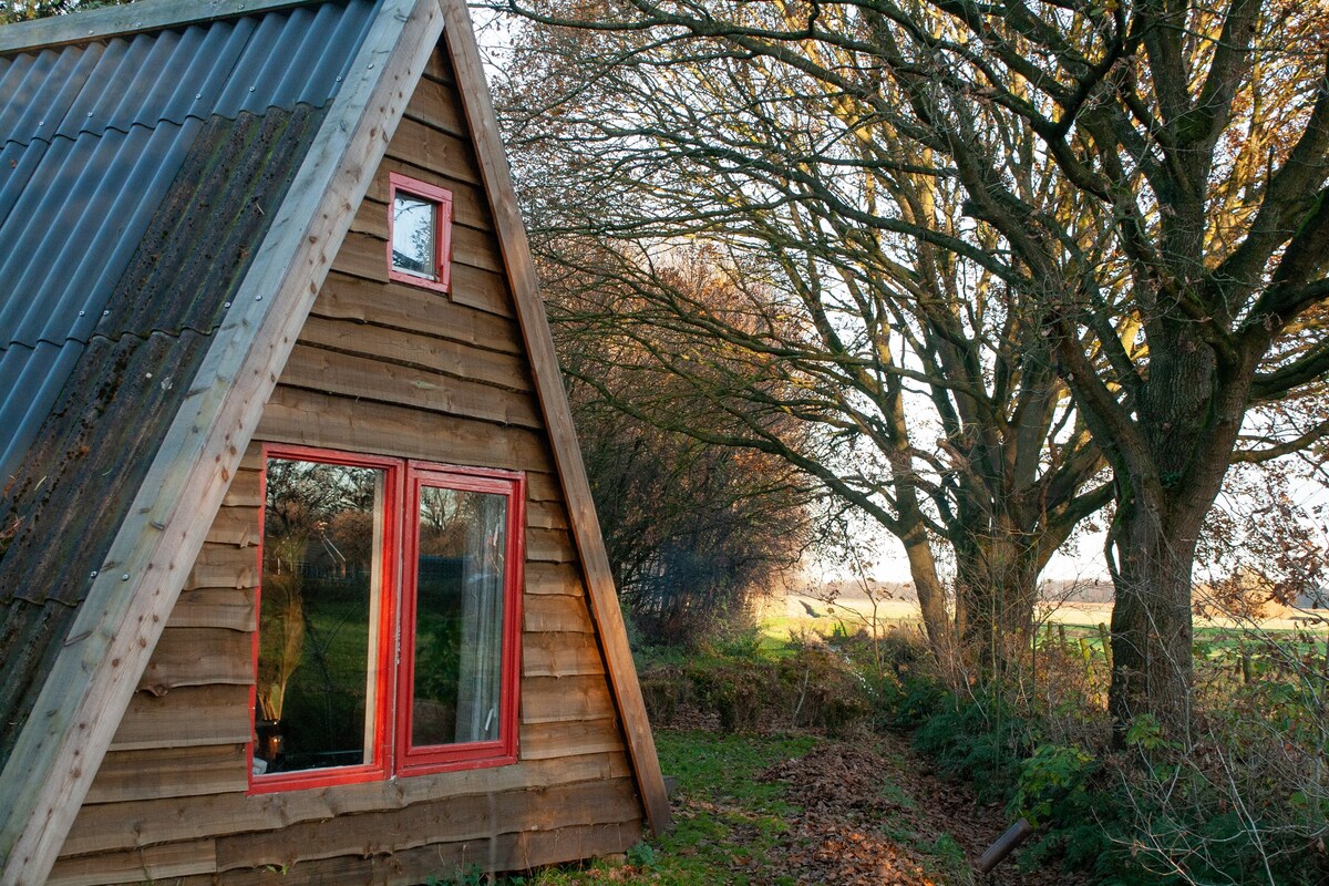 「De Jachthut」自然保护区上的木质乡村小屋