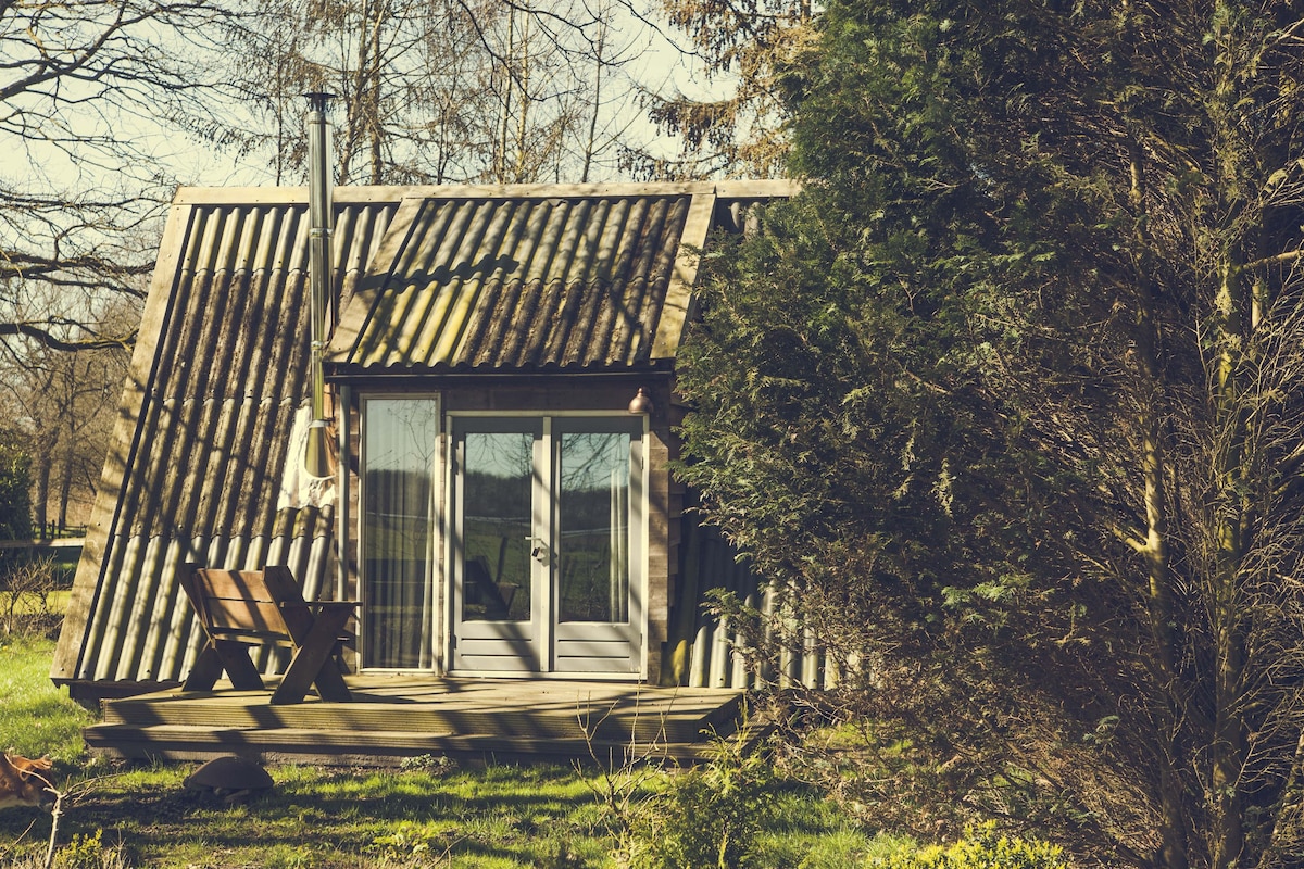 「De Jachthut」自然保护区上的木质乡村小屋