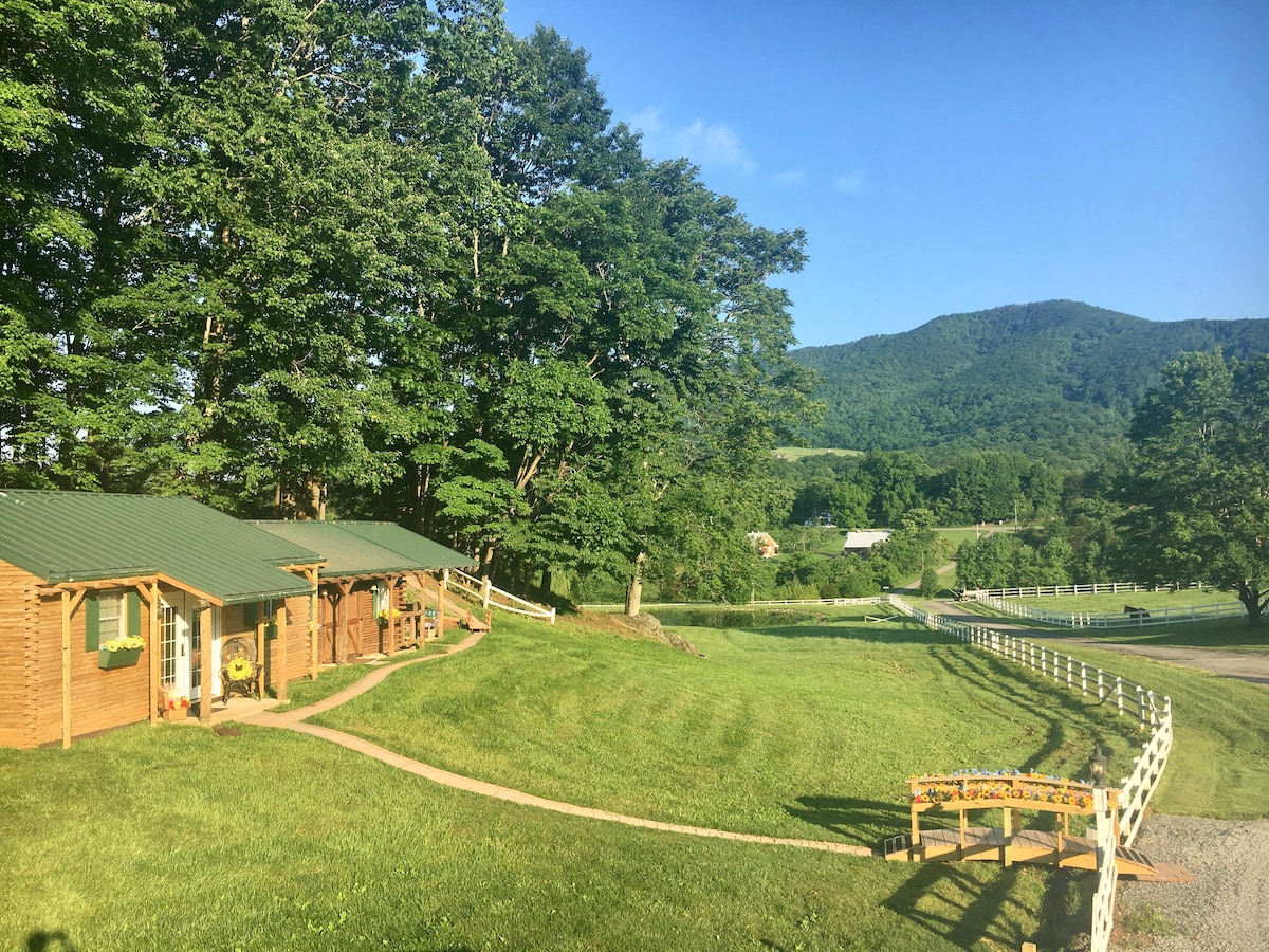 Blue Ridge Mountain Cabin