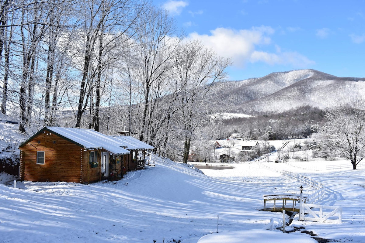 Blue Ridge Mountain Cabin