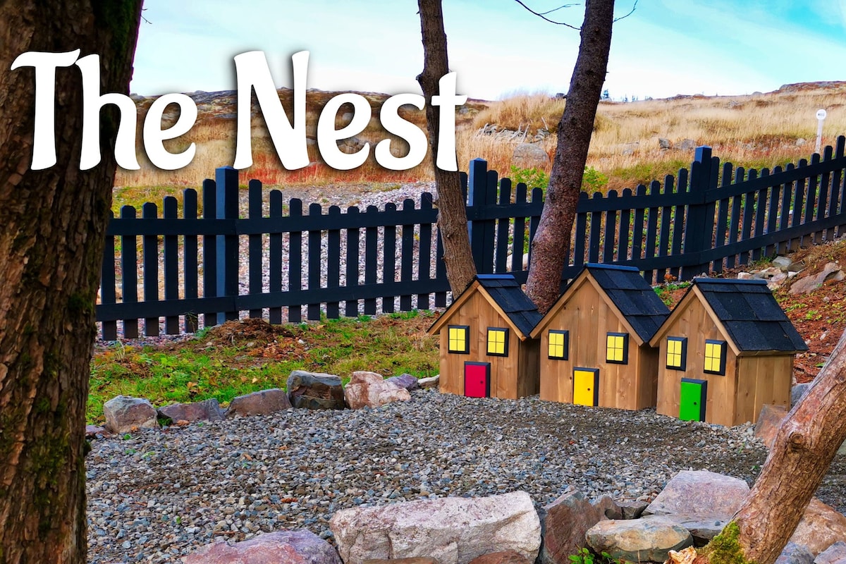 The Nest ：美丽的纽芬兰保护区