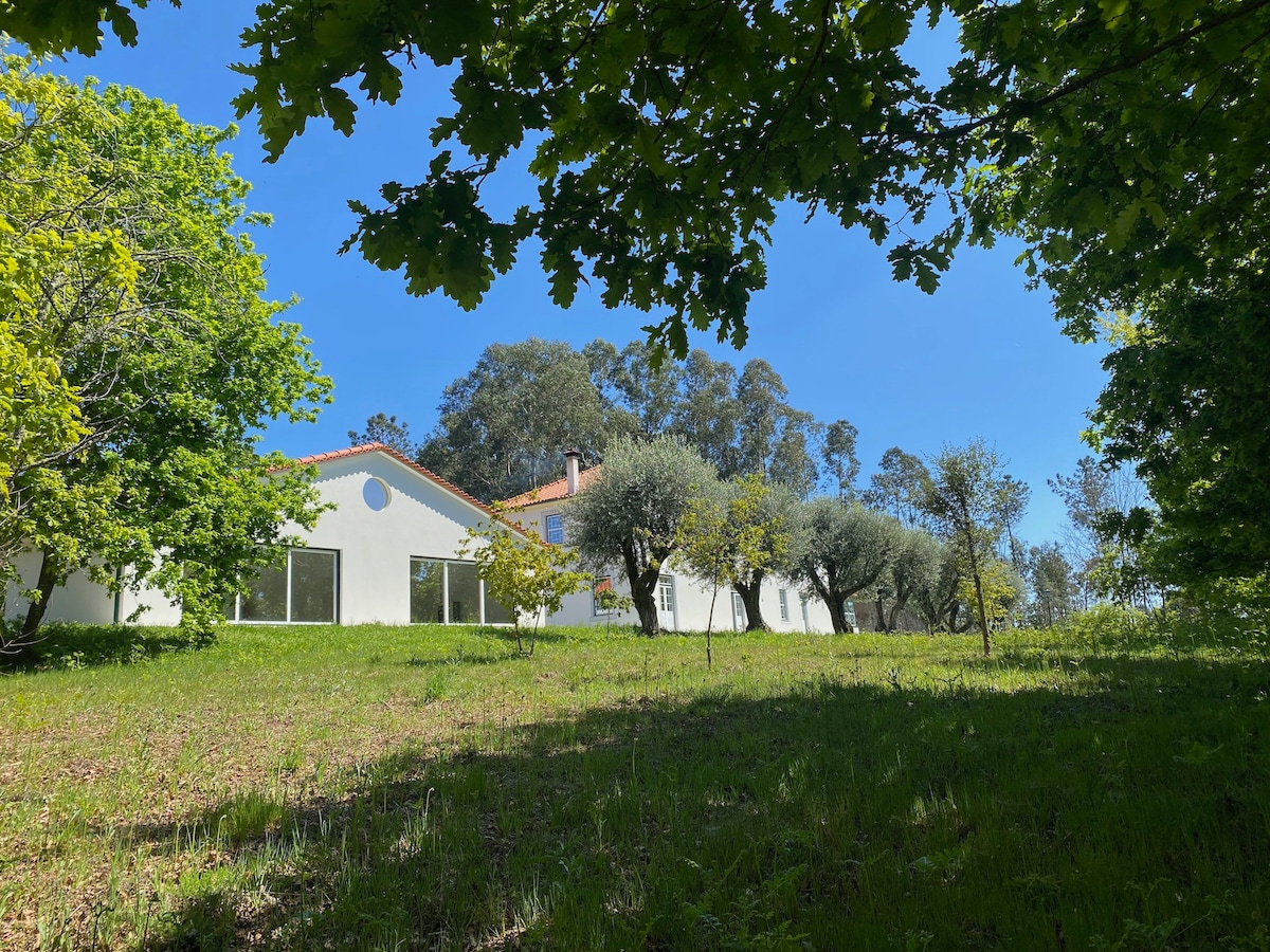 Quinta Catrinandes B&B Molelos - Pine Tree Room