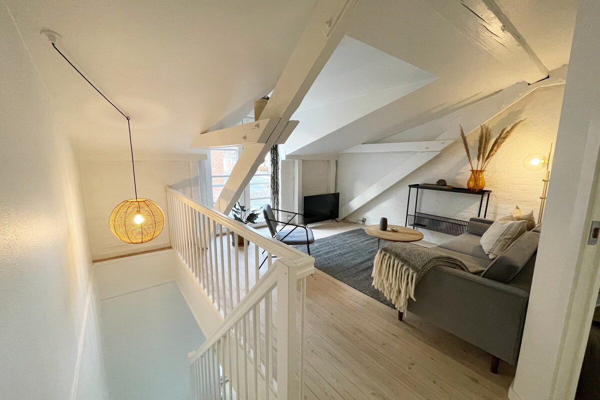 Viborg中心可爱的斯堪的纳维亚式公寓
