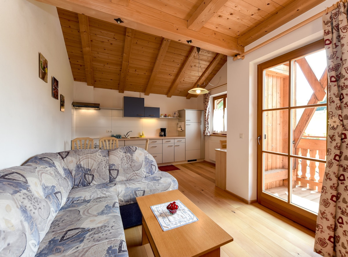 4号公寓（道） - Agriturismo Loechlerhof