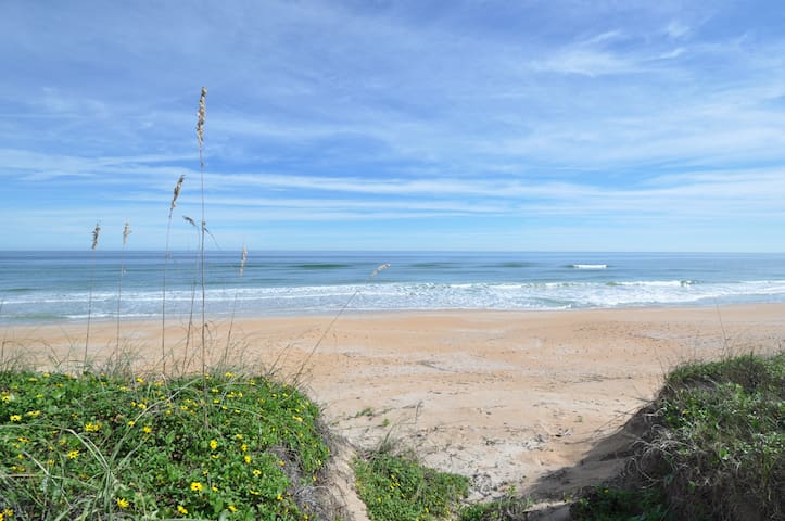 弗拉格勒海滩 (Flagler Beach)的民宿