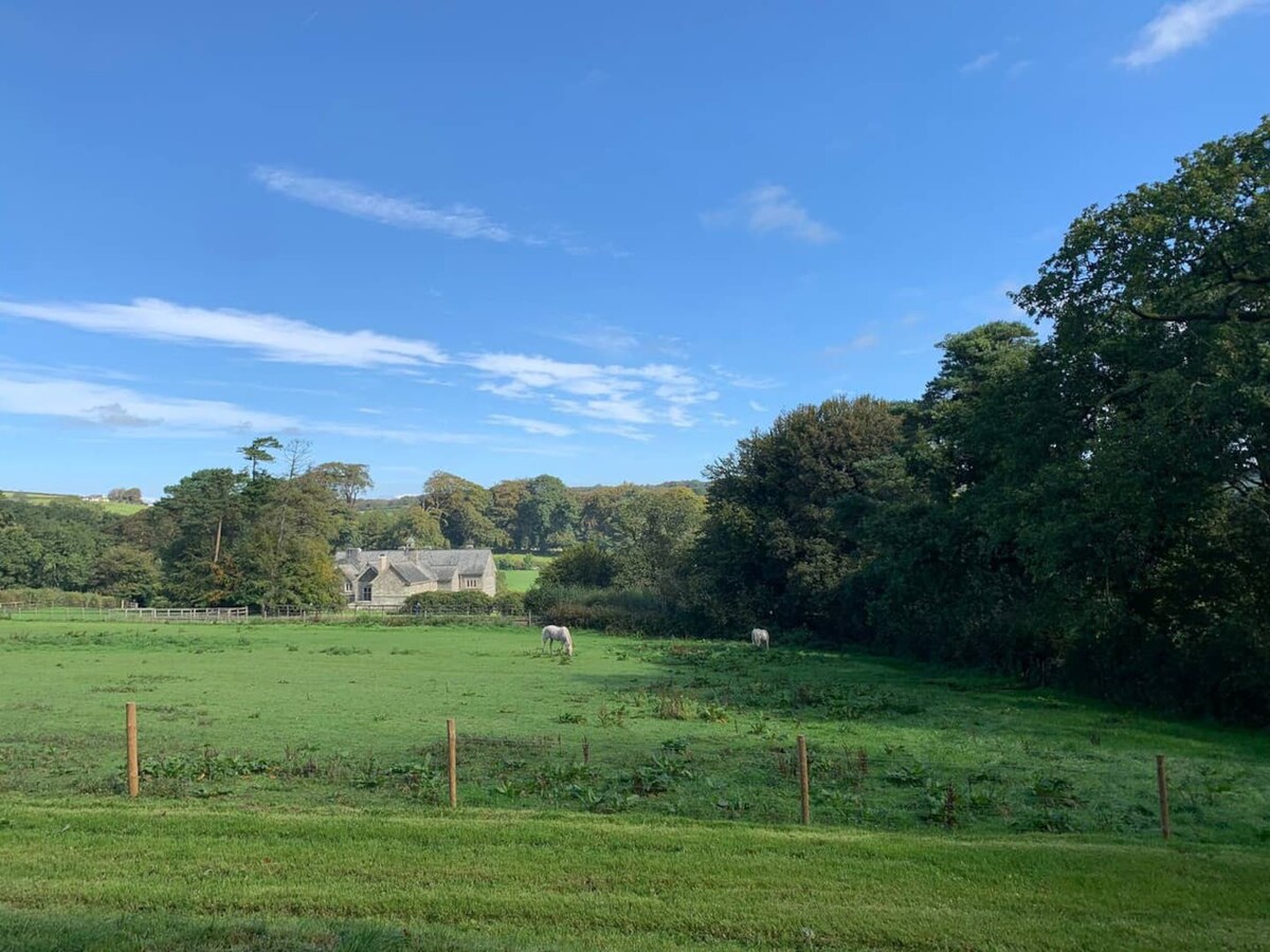 Luxury Shepherds Hut with Views of Dartmoor