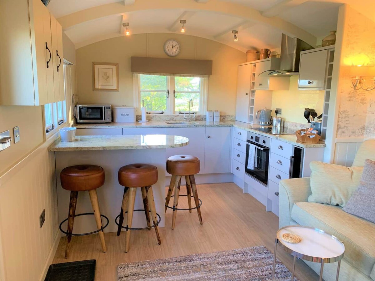 Luxury Shepherds Hut with Views of Dartmoor