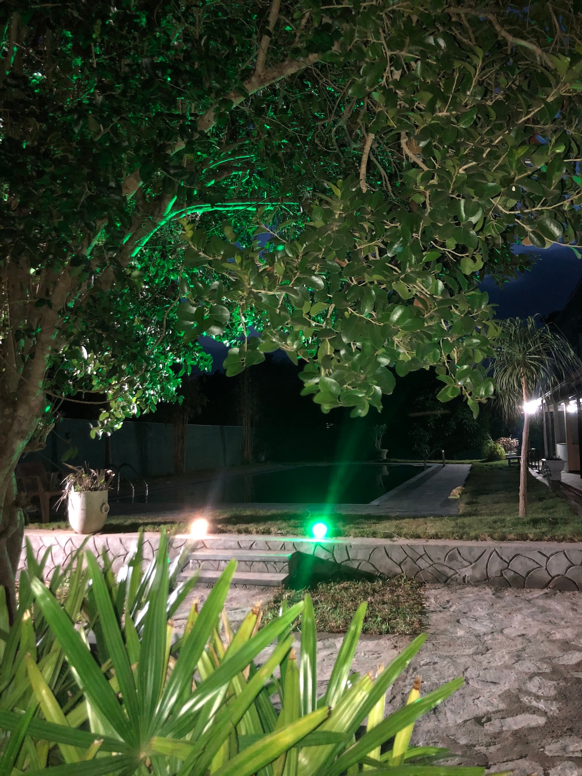 萨曼度假村雅拉泳池景观豪华双人客房
