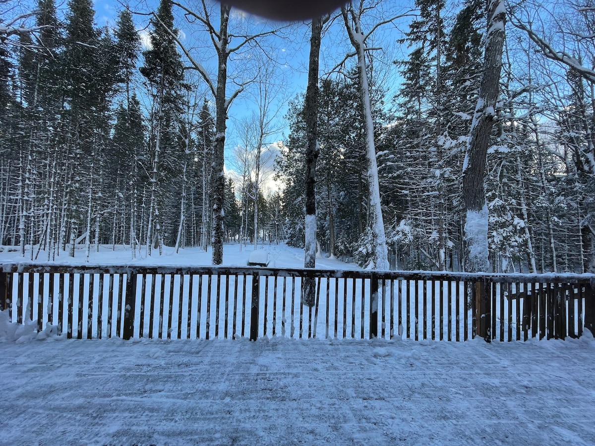 Lake Michigamme Cabin