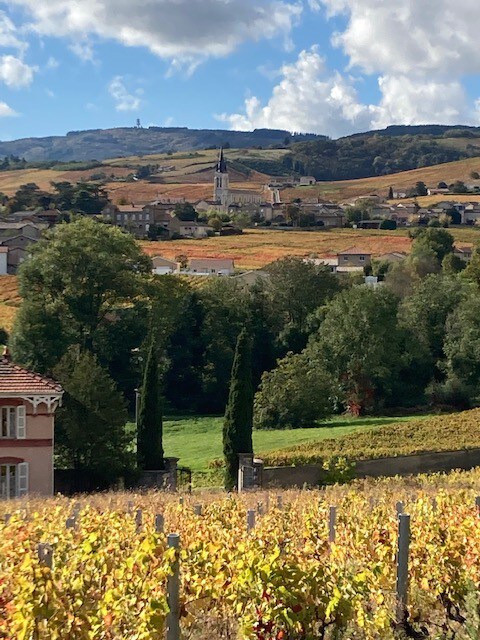 Gîte de la Vieille Vigne