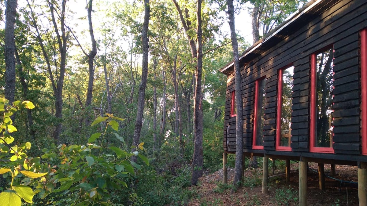 Acogedor Refugio en Mágico Bosque Nativo