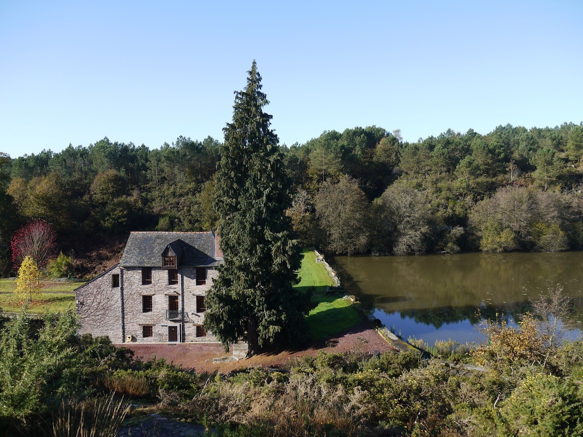 MOULIN Menhirs和天然保护区