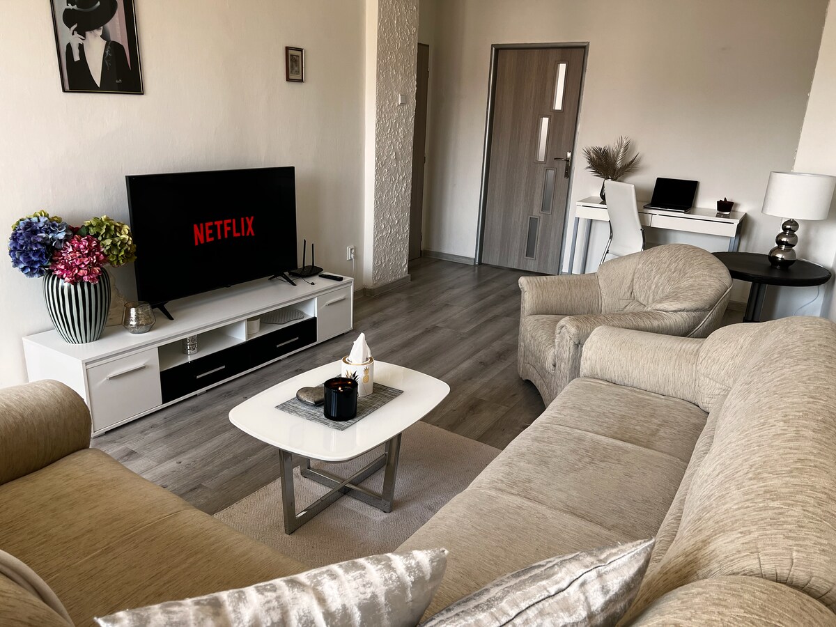 带Netflix和免费停车场的现代化舒适公寓