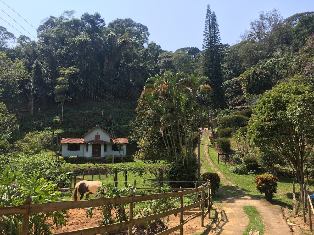 Sítio das Orquídeas