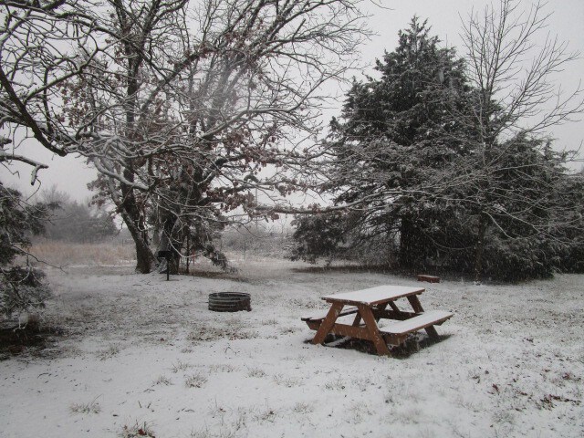 Honeyberry Hideout Campsite