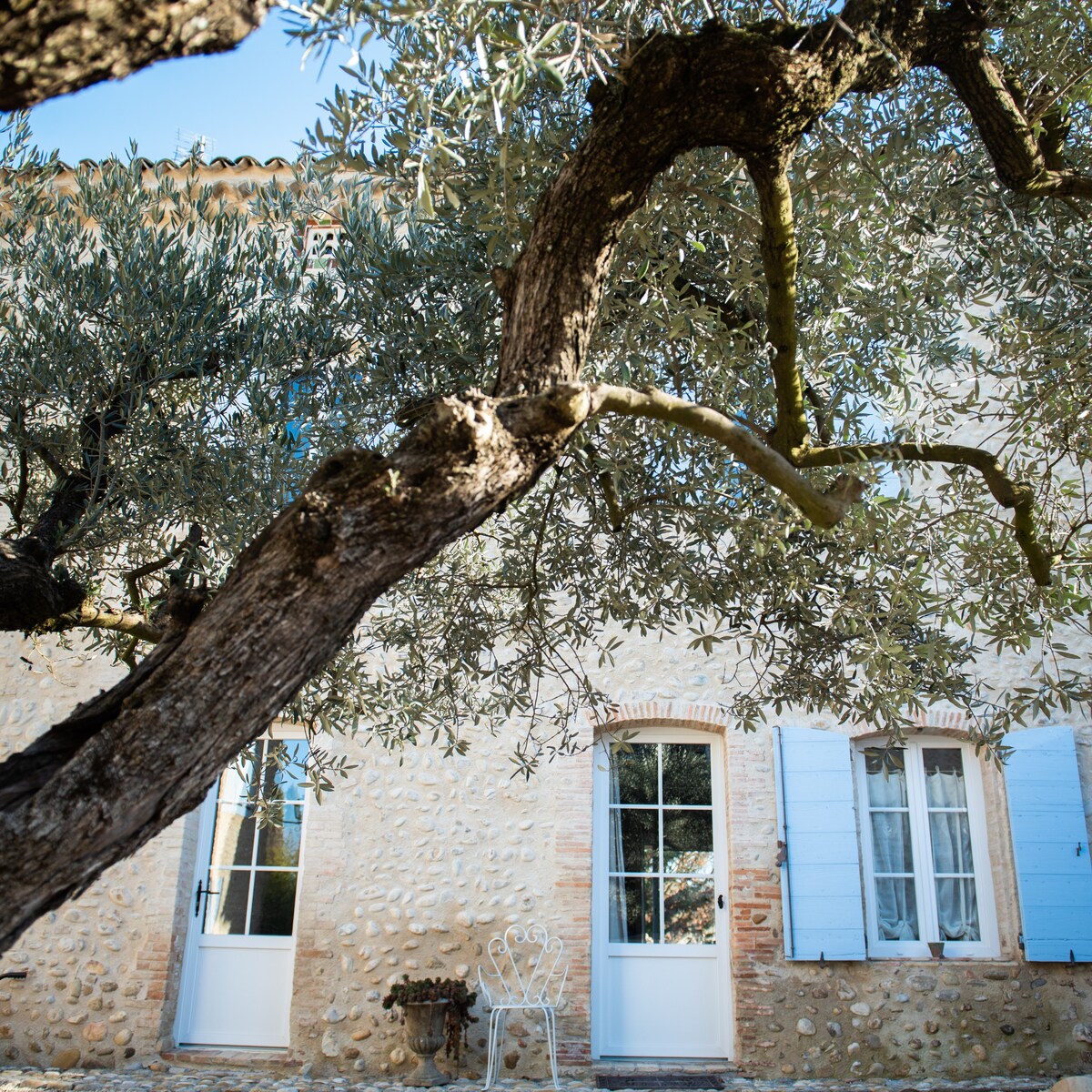 Gîte L'Olivier - La Roseraie du Val'ensoleillé