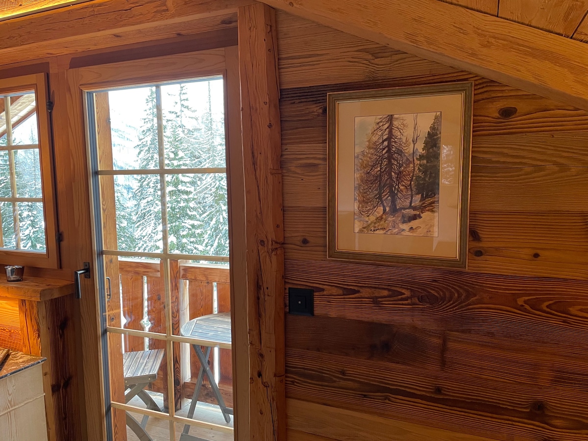 滑雪坡上美丽的度假木屋
