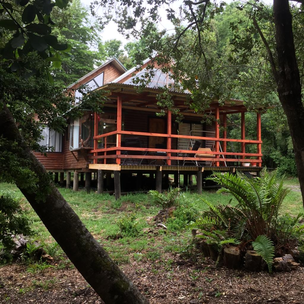 Agradable Cabaña inserta en bosque nativo