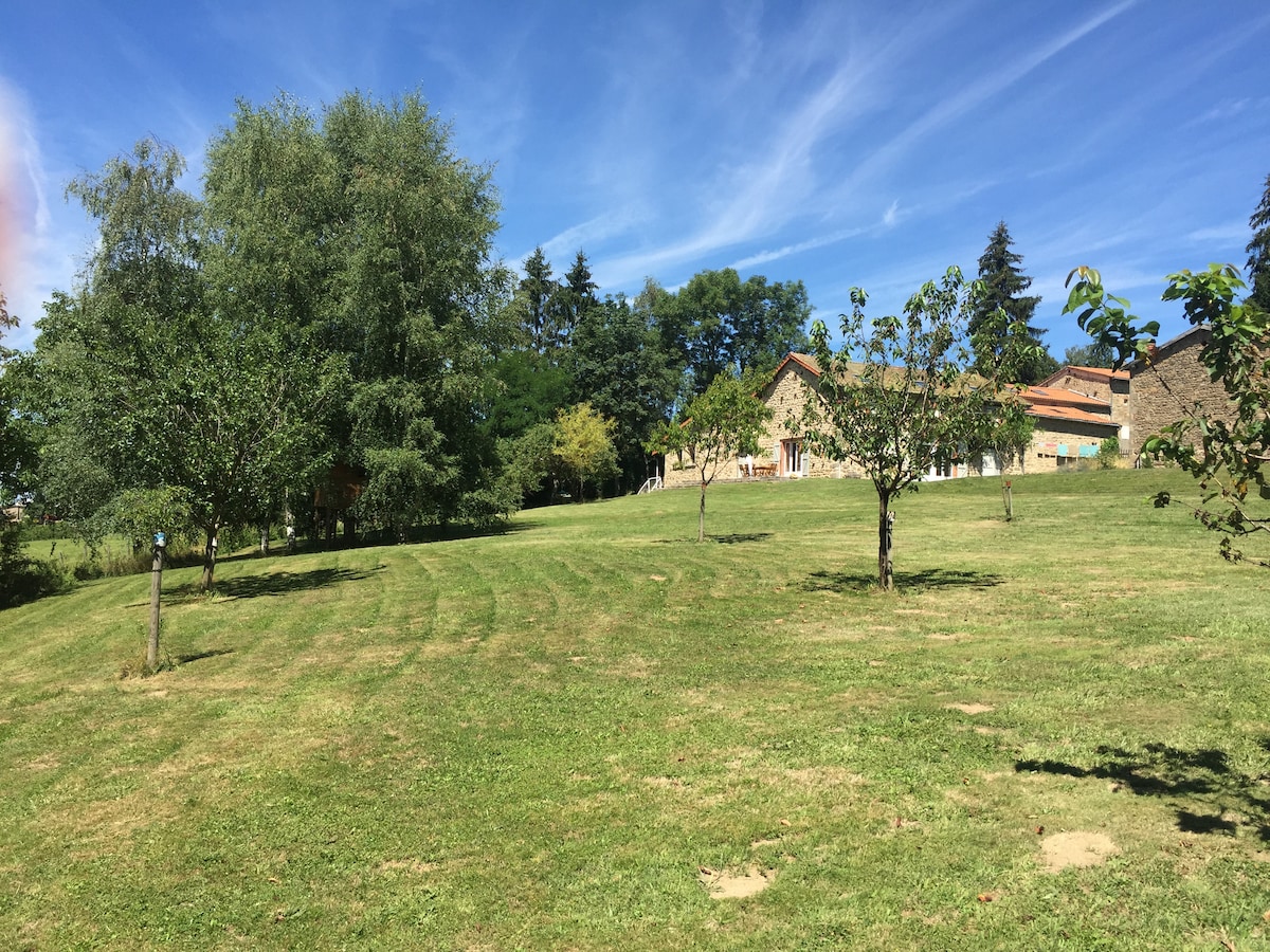 Maison en pierre avec piscine et grand jardin