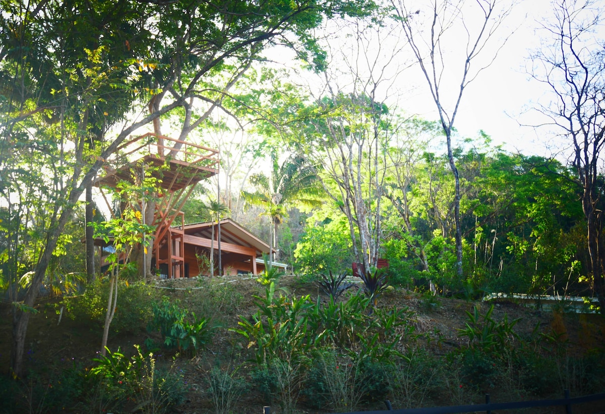安静、有趣的丛林房源，带泳池和树屋