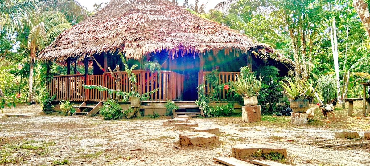 丛林中的Bungalow Ecolodge in The Jungle (TakanaTicuna)